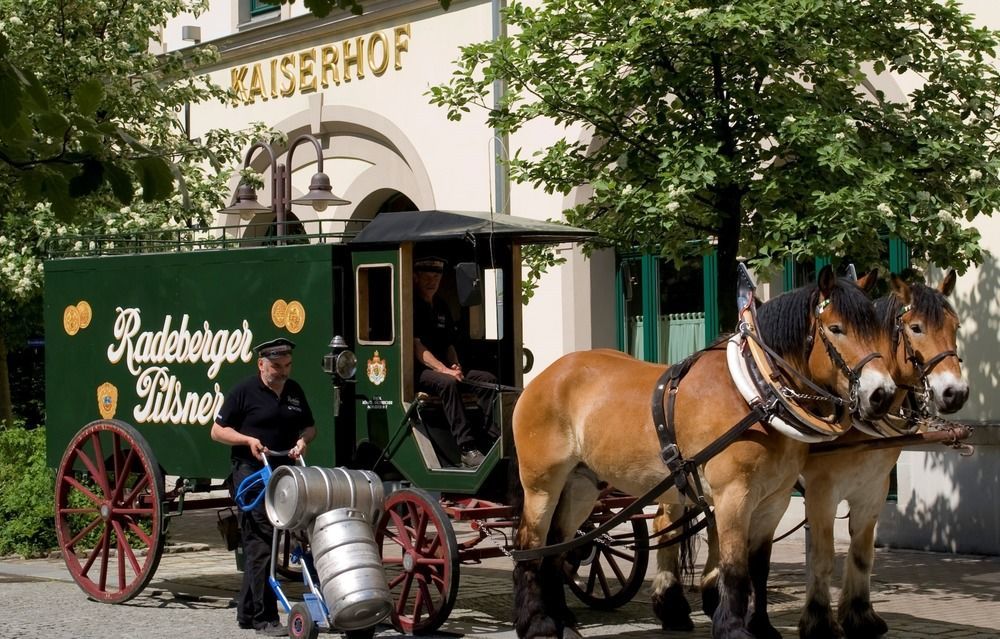 Hotel Kaiserhof Radeberg Dış mekan fotoğraf